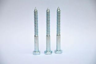 專(zhuān)業(yè)東莞螺絲生產(chǎn)廠(chǎng)家在廣東,陽(yáng)江不銹鋼自攻螺絲釘