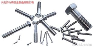 供應:316L 外六角螺栓,華人螺絲網提供各種供應:316L 外六角螺栓報價、價格、生產廠家、供應商-興化齊力得五金制品
