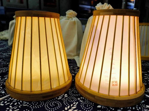 宜賓造智能竹燈發布 科技文創產品新玩法，燈具塑件引領未來